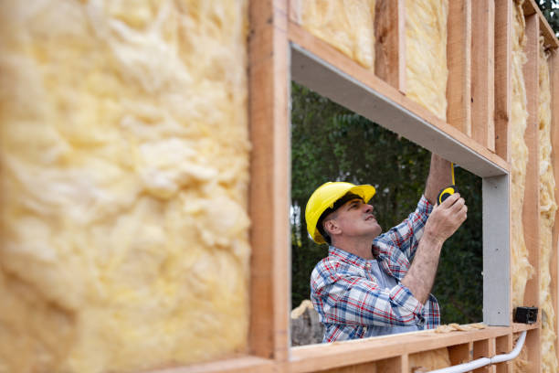 Best Eco-Friendly or Green Insulation Solutions  in Dunean, SC