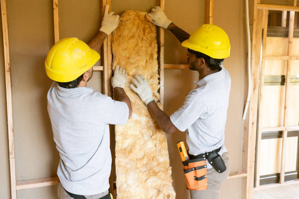 Best Attic Insulation Installation  in Dunean, SC